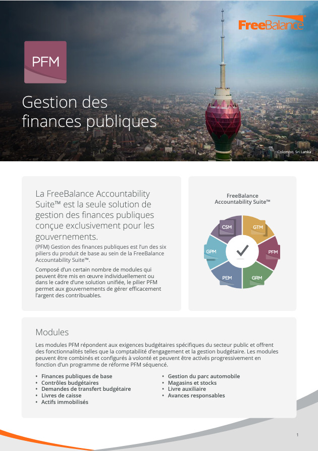 Gestion des finances publiques